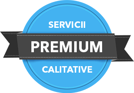 Servicii Premium de montare Jgheaburi-Burlane